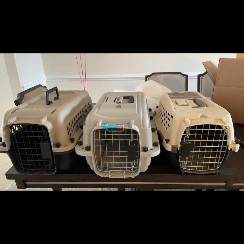 Small dog/cat carrier